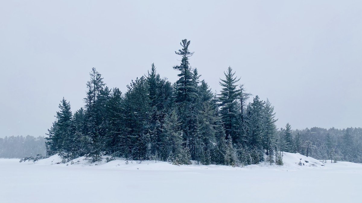 marykkeown's tweet photo. A lovely first #snowshoe of the season to #ParkinLake, north of #Capreol. @RealAndreDumais, his beloved and I hiked abt 4.7 km today. We #trekked across the #lake and around an island. We cut #trail 💪🏼 and walked thru a gorgeous #snow-covered #woods. I really ❤️ this #adventure. https://t.co/YUaVAFbraF