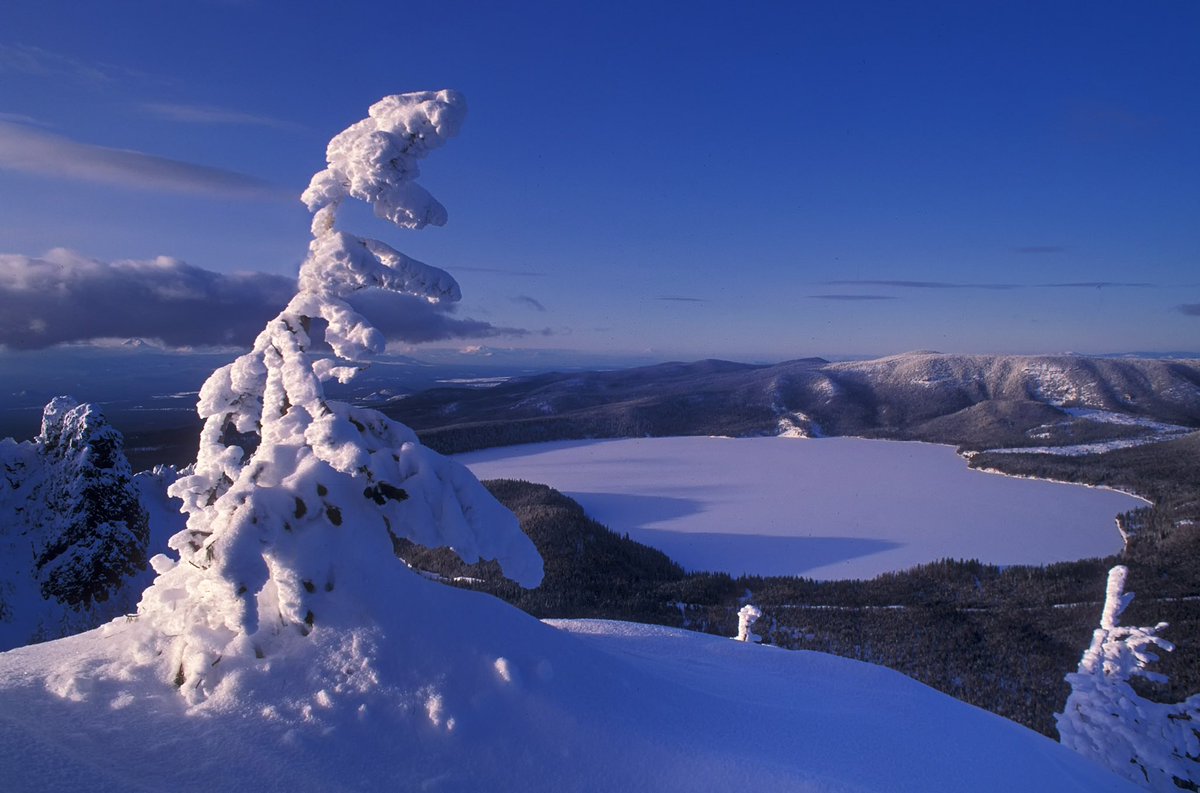 ForestServiceNW's tweet image. “Nature's peace will flow into you as sunshine flows into trees. Winds will blow their own freshness into you.”

--John Muir