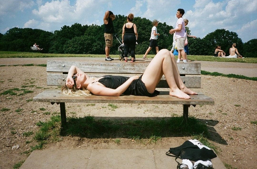 wa archive tweet media