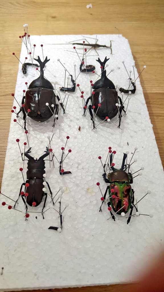 展足 Twitter Search Twitter