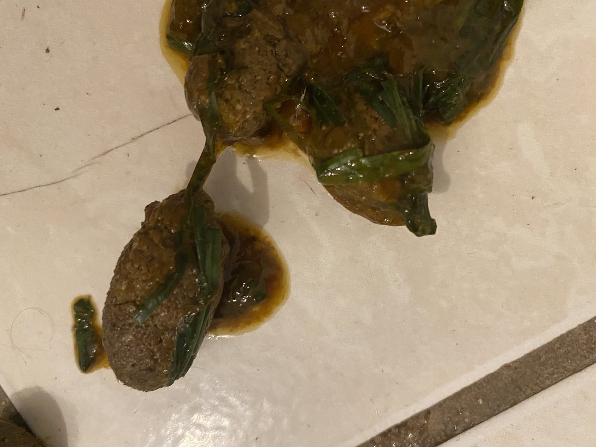 ayudaracrecer's tweet image. Este es el poop de Poppy… I just discovered dogs can't digest grass… 

#RandomFactoftheDay