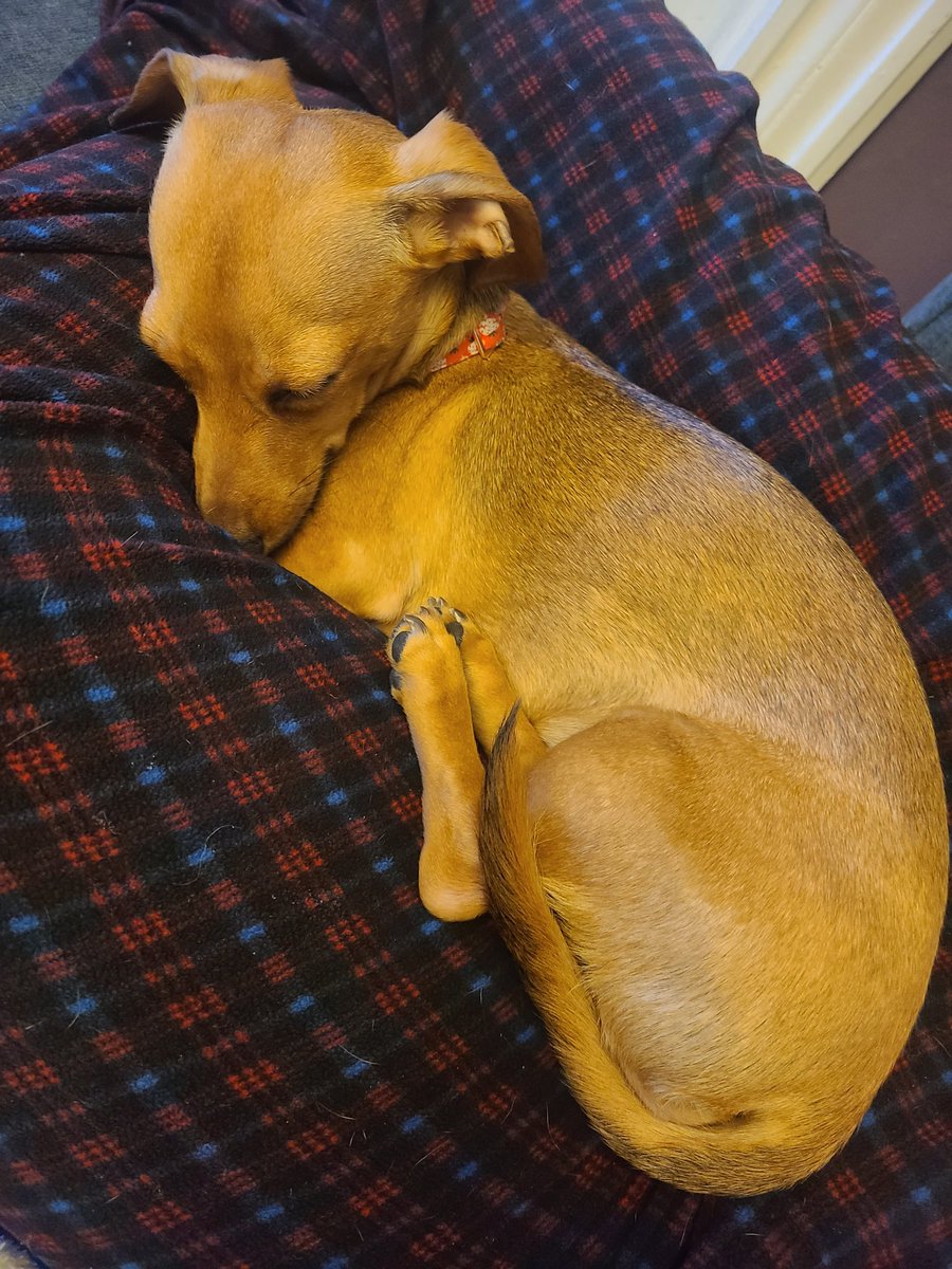 Have some cute baby for your evening 💛