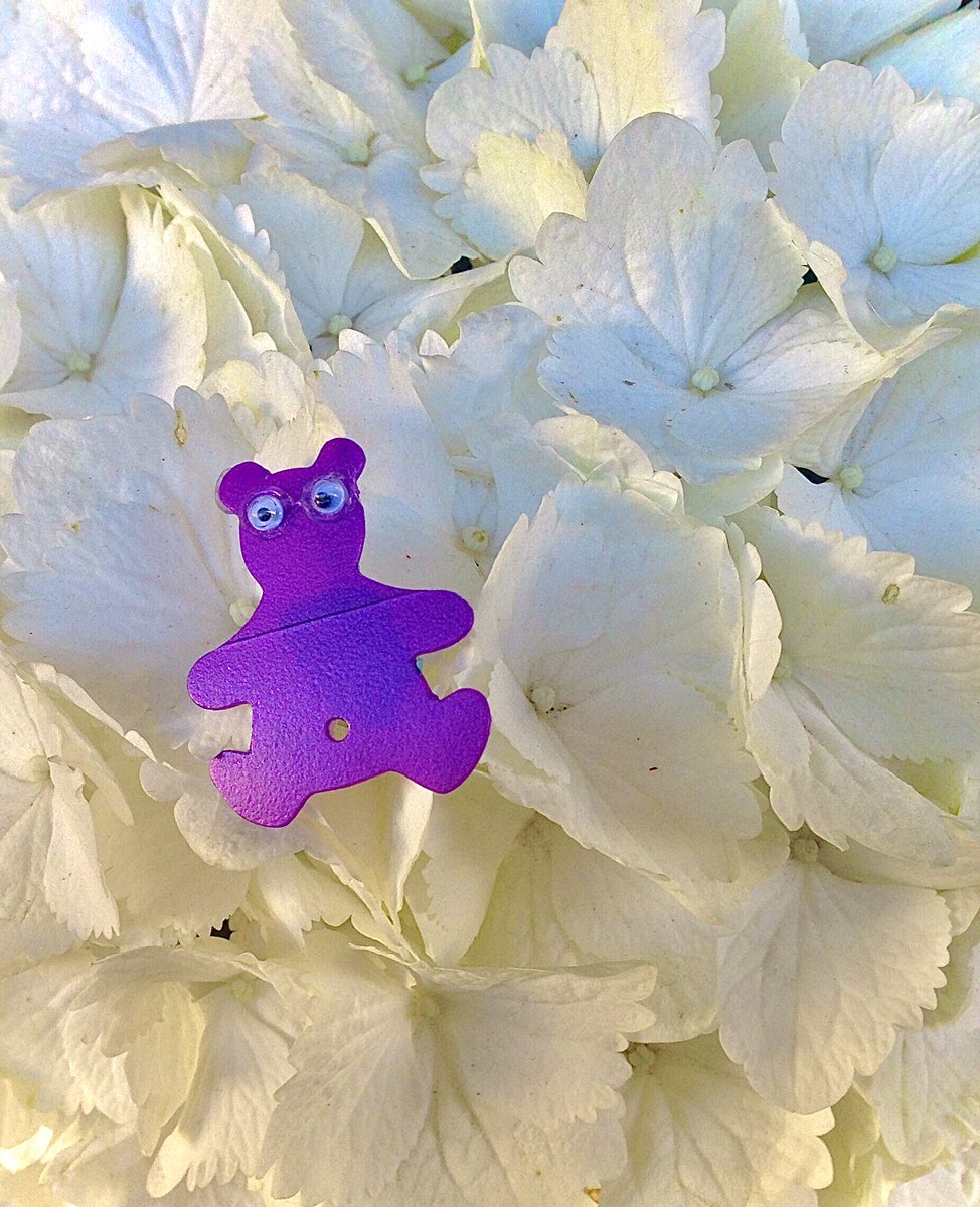 AShoeBearPlanet's tweet photo. Shoe Bear®️ with Bigleaf hydrangea. Cortona, Tuscany, Italy. Gwen. 
#♻️ #Recycle #Reuse #GoGreen #GreenLiving #RecyclePlastic #HappyEarth #ShoeBears #TakeCareOfThePlanet #GreenLiving #GooglyEyes#TakeShoeBearsWithYou #BigleafHydrangea #Cortona #HydrangeaMacrophylla #Shadows https://t.co/w2AUWUa3zN