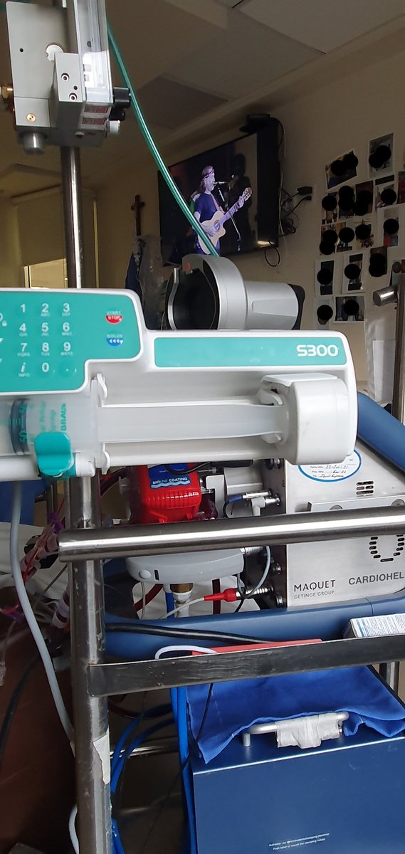 Sábado de AWAKE #ECMO 🔴🔵 y música country 🤠.

Px en reposet comiendo uvas, signos vitales estables y lo mejor es el rostro de confort.

<a href="/ECMOeducacionMX/">ECMOeducacionMX</a>