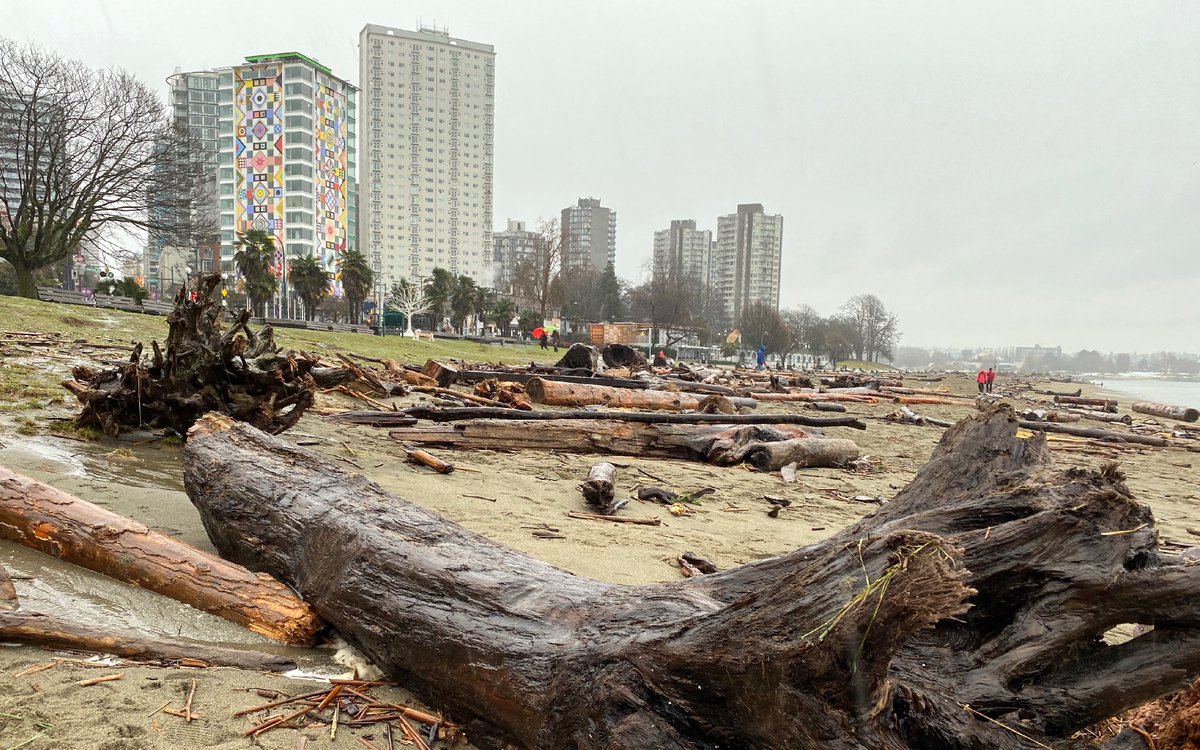 CityTheSpring's tweet photo. #EnglishBay #Seawall #Vancouver damaged after severe #storm 
@nafeesakarim @CTVVancouver @CBCVancouver https://t.co/0YXVcl17HJ
