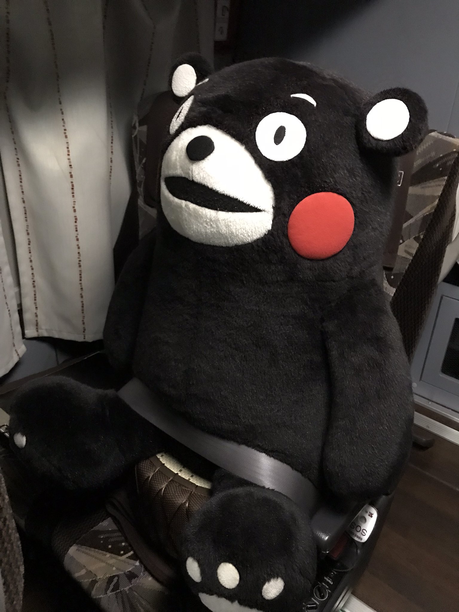クソイルカくん ちなみに 絶対にくまモンに出会ってはいけない熊本旅行 京都 大阪 神戸 熊本の夜行高速バス サンライズ号だと1b席にくまモンのぬいぐるみが拘束されているので乗った瞬間 熊 本 旅 行 中 止 です 繁忙期はバス床下乗務員仮眠室にくまモンが