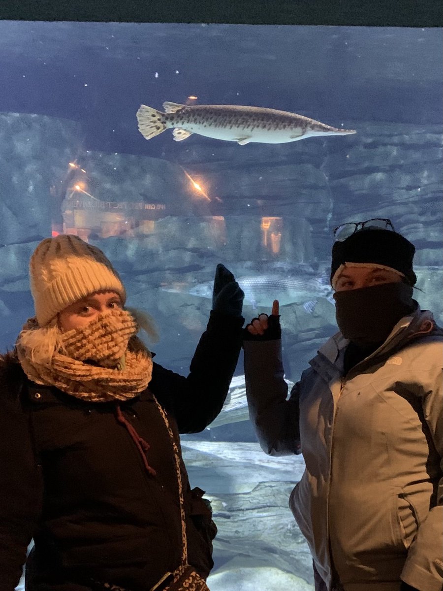 berry_fishy10's tweet photo. “What a GARgantuan find at the manatee exhibit!” -@JanetDeardorff “quick let’s get a pic for @SolomonRDavid!” https://t.co/8BAon9zkta