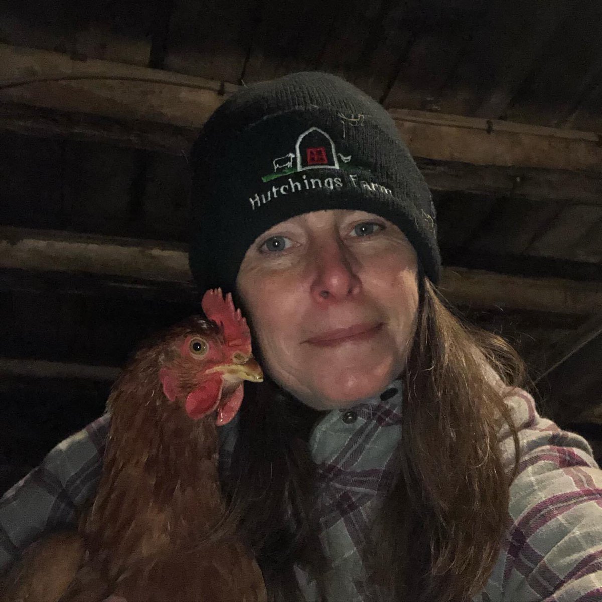 FarmHutchings's tweet photo. It’s Saturday night! Happy to be hanging out with this chick! Although she tends to get a little fowl mouthed when drinking #barnchores #hutchingsfarm #brownegglayers https://t.co/S03nWFDIKz