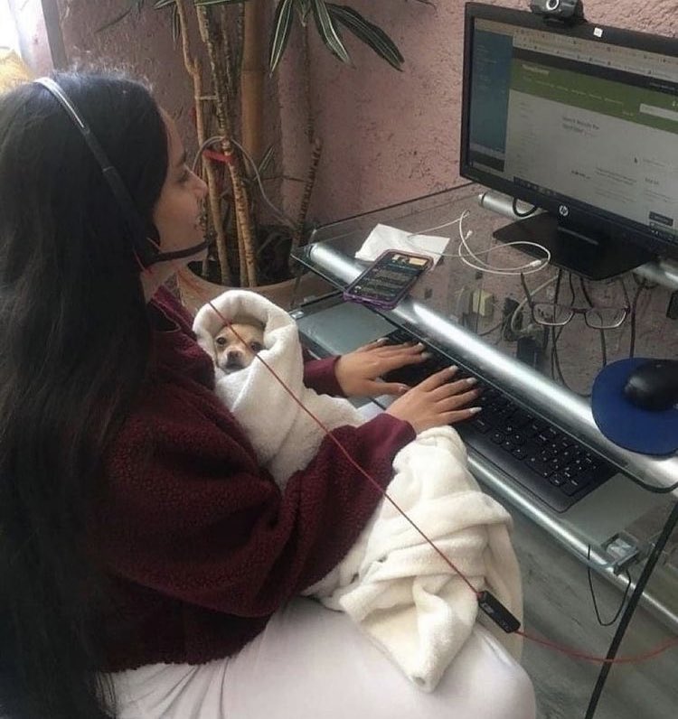 DiloConPerritos's tweet photo. Mamá luchona. https://t.co/LPn8K57dAB