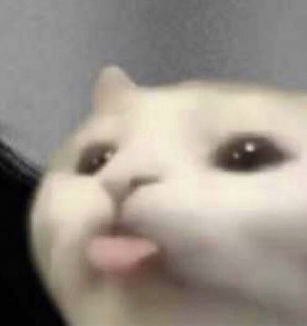 glossicheeks's tweet photo. blep https://t.co/TEkA7DVcEO