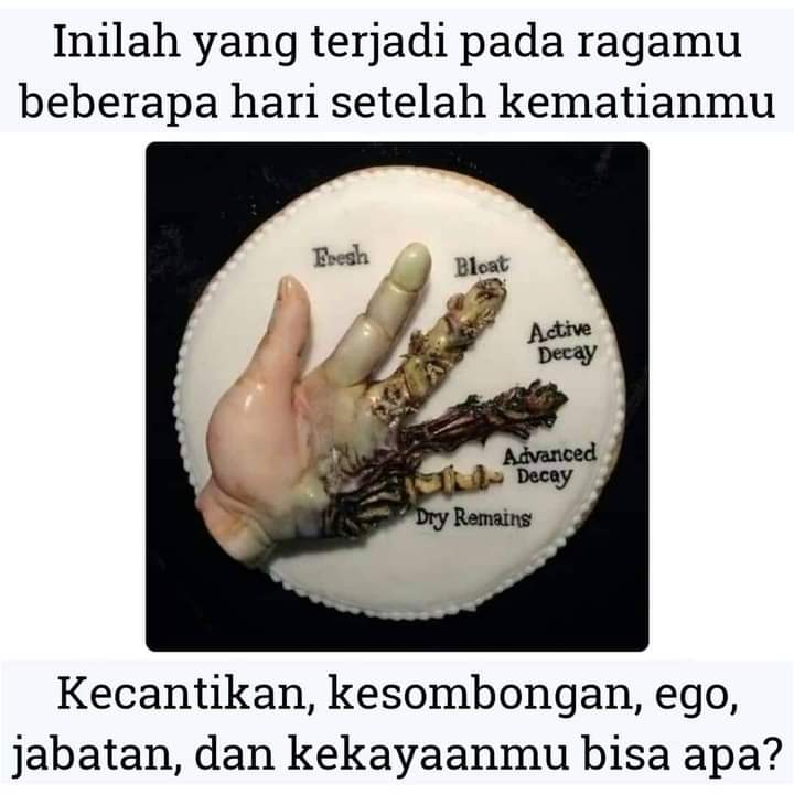 afrizal_batuah's tweet photo. Tubuh, harta, makanan, hanyalah asbab yang diciptakan Allah sebagai anugerah nikmat bagi hambaNya di alam dunia. Ketika asbab itu dicabut, dimusnahkan, karena sudah tidak layak pakai di kehidupan alam barzah, Allah akan menciptakan asbab dalam bentuk dan jenis lain juga sebagai https://t.co/iwJIElMxwU