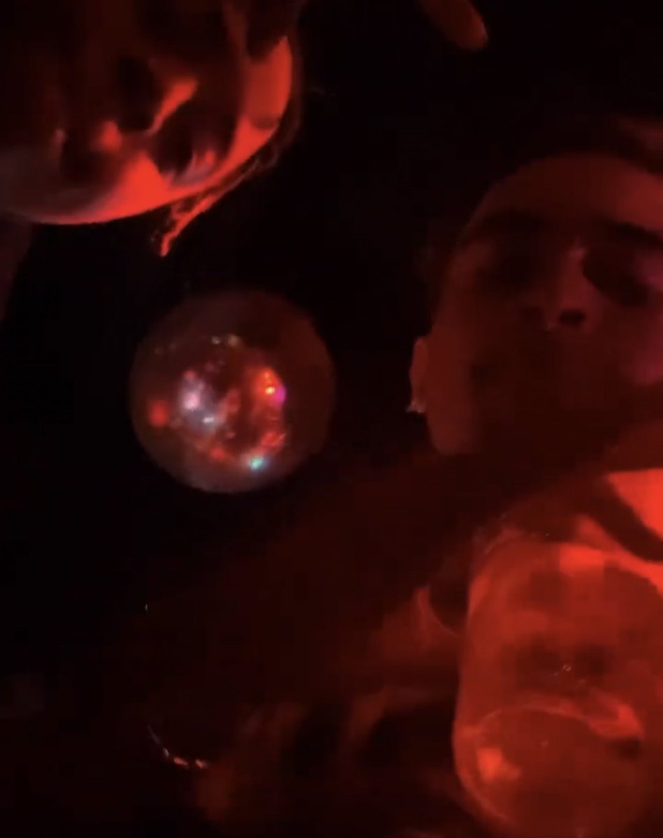 adyn___'s tweet image. Already turnt at #ManniLounge #theLIFEATL🍑 SEASON 4 HOE!! 😂😂