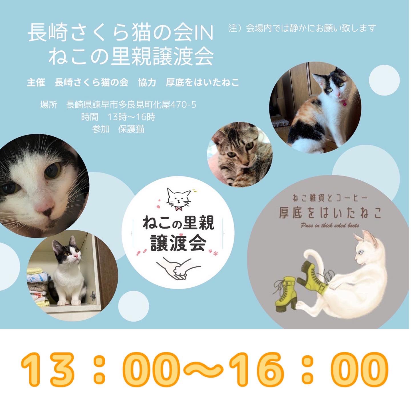 厚底をはいたねこ 今日という日が あなたと猫ちゃんの 運命の日となるかもしれません 目と目があった瞬間に 何か感じるかもしれません まずは 会場に足を運んでみてください 愛情いっぱいのお家に 迎えてくださる方 募集中です 長崎さくら猫の会 厚底をはいたねこ 今日という日が あなたと猫ちゃんの 運命の日となるかもしれません 目と目があった瞬間に 何か感じるかもしれません まずは 会場に足を運んでみてください 愛情いっぱいのお家に 迎えてくださる方 募集中です 長崎さくら猫の会