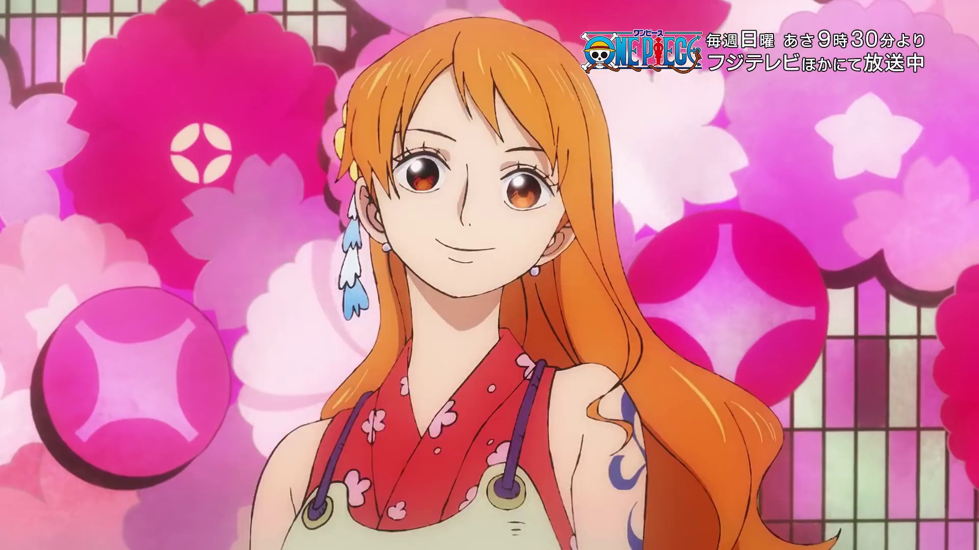 Nova Abertura - One piece Opening 24, ワンピース