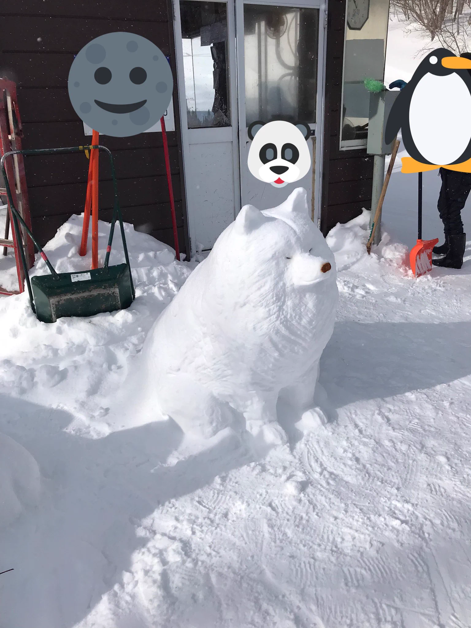 超カワイイ！！雪で作った犬ちゃんの雪だるまがもふもふ！