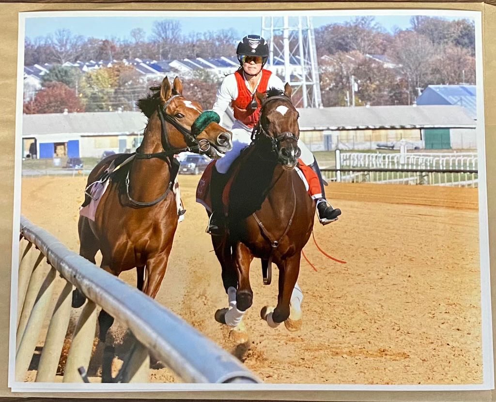 This is Aire Bueno catching a loose horse. I claimed him at six years old and ran him successfully until he was 11. Is he the ultimate racehorse or what? He loves the track!