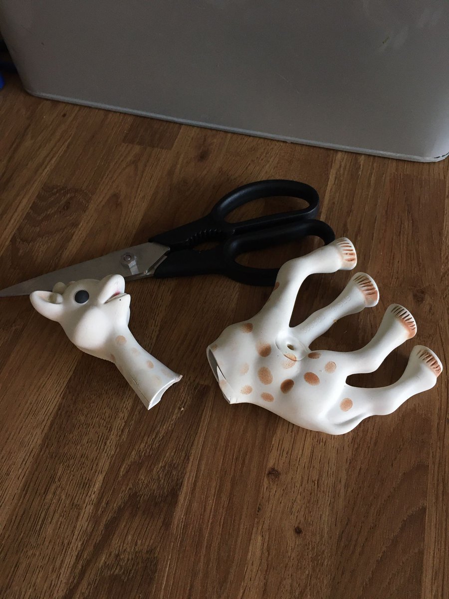 Hannah Green 👩🏻‍⚕️☕🇨🇦 tweet media