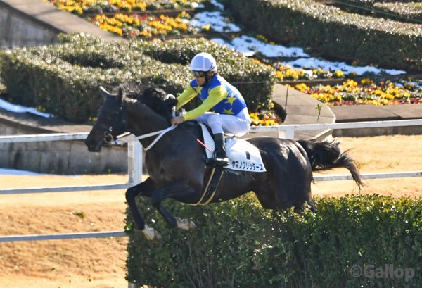 このツイート見た時、転厩後もヤマノグリッターズには継続騎乗できるんだろうな、と思いましたが、嘉藤先生の馬にはまだ一度も実戦で乗ってないんですよね。障害馬は他にダイワセントライトのみ、ですが。
馬主サイドの意向もあるでしょうけど、意向があるなら転厩前、最初から依頼来ないでしょうし😗