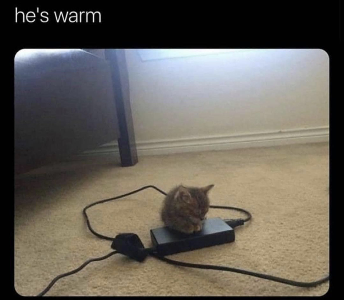 RespectfulMemes's tweet image. 