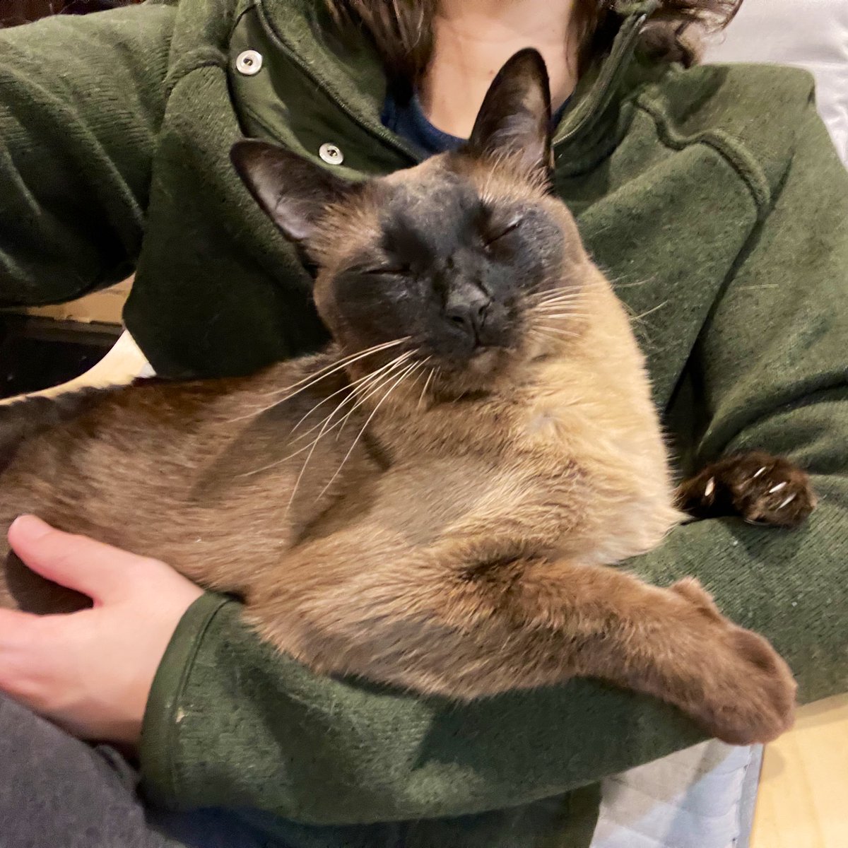 Ⓜ️elissa tweet media