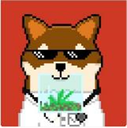 shibashowcase's tweet photo. Let the SHIBArmy decide!

A) Dr. Greenthumb Inu           B) NEO
C) Shiba Ryoshi           D) Corona
Poll below👇 https://t.co/ilfZJQ76RT