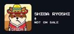 shibashowcase's tweet photo. Let the SHIBArmy decide!

A) Dr. Greenthumb Inu           B) NEO
C) Shiba Ryoshi           D) Corona
Poll below👇 https://t.co/ilfZJQ76RT