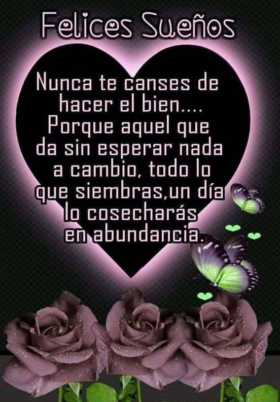 Jose25501237's tweet photo. @lidia_vazques Buenas noches amiga feliz descanso dulces sueños un abrazo grande con mucho cariño y respeto dios te bendiga 🙏❤️👩‍❤️‍👨🌹 https://t.co/XW3zxwqjfG