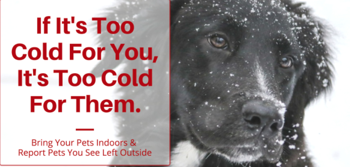 It's the truth...if we left humans chained up outside in this cold...that would make the news!