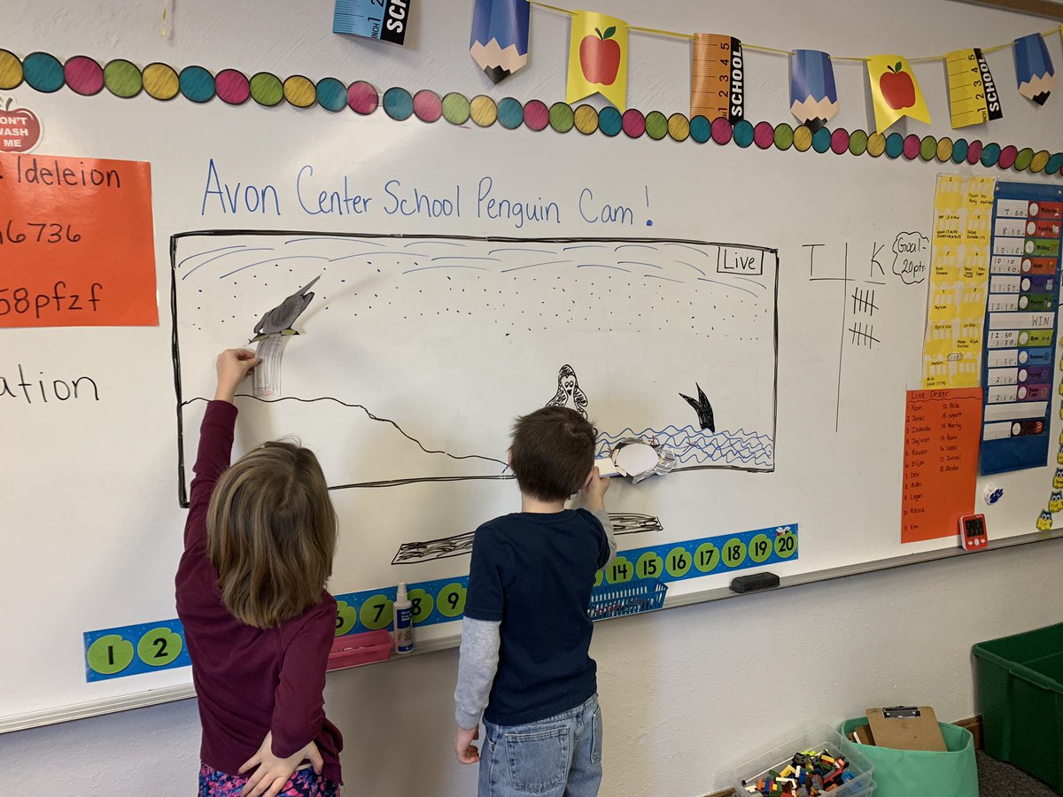 AvonNovas's tweet photo. First graders were learning about penguins. Earlier in the year they explored the @sandiegozoo live cams. This week they even made their own live cams! #avonshines #avonbrilla https://t.co/bMyTEuaMN0