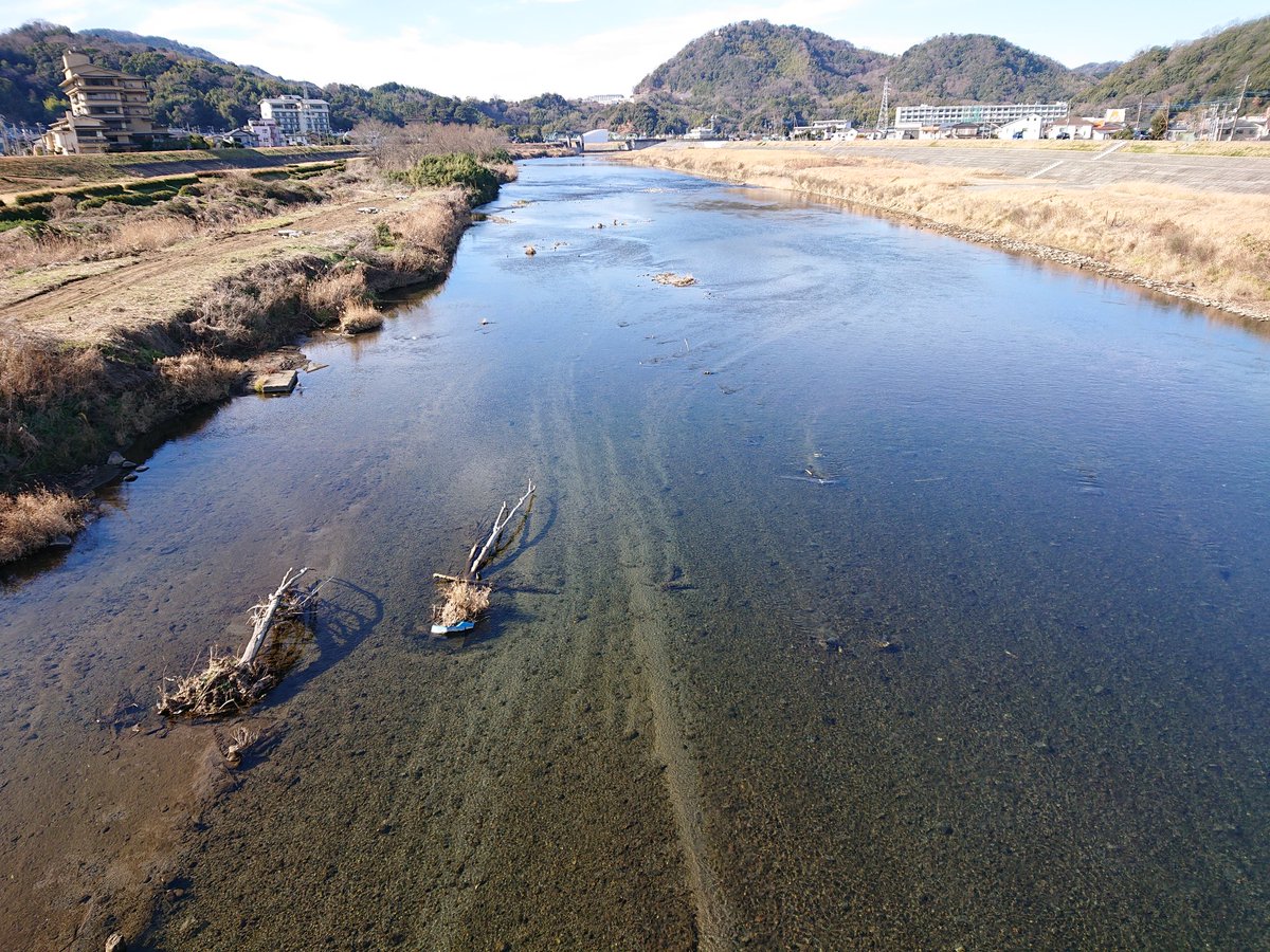 Frostmoonweb's tweet image. 狩野川、キレイ #のってこいずっぱこ