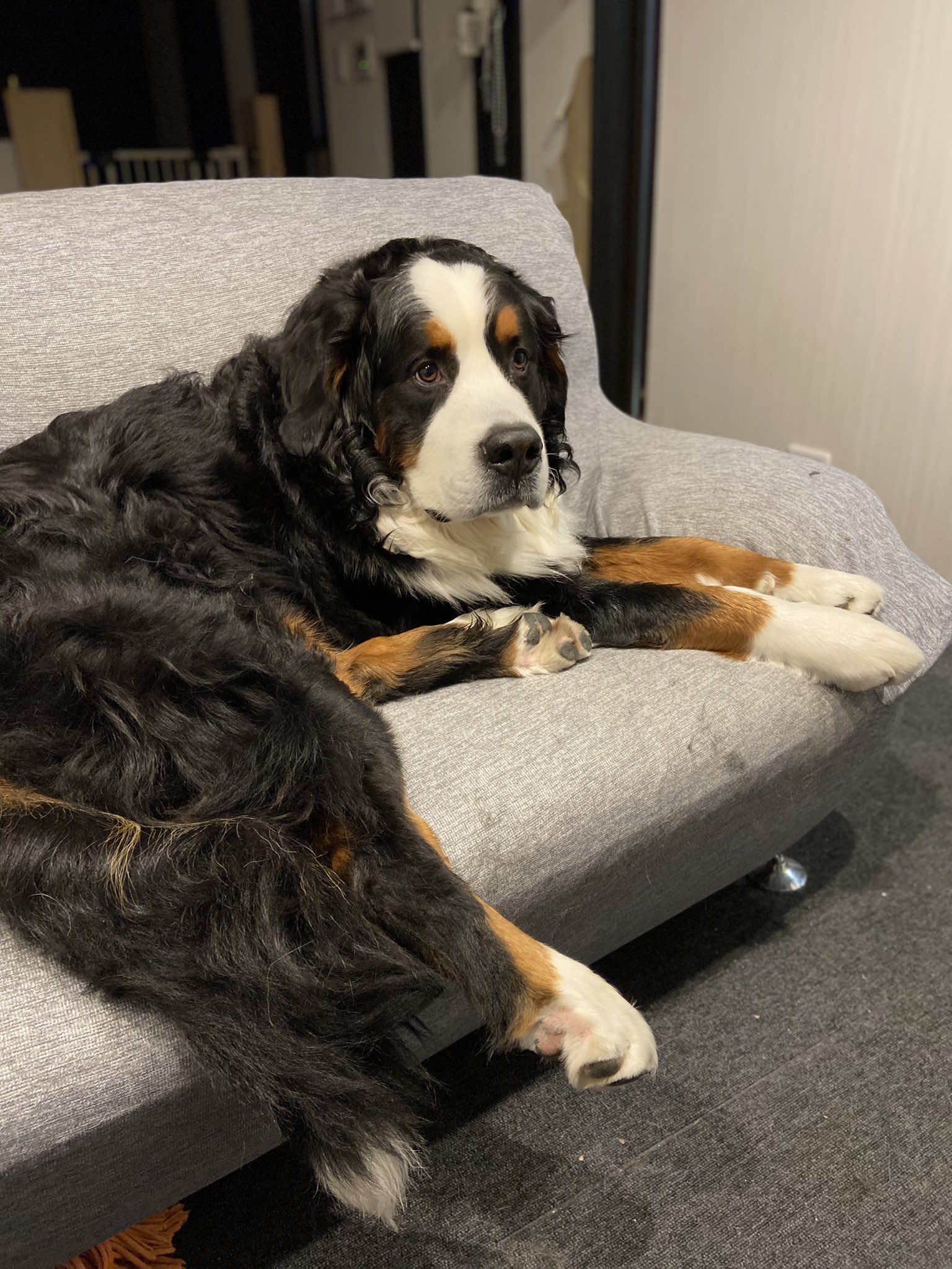 See Buzz0312 S Tweet Twitter