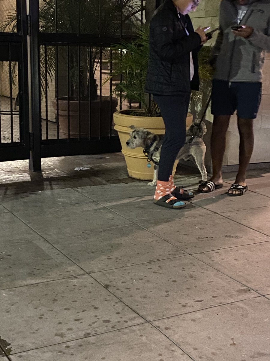 everythingsalw's tweet photo. two other angels spotted https://t.co/pJ1o0ZRmSL