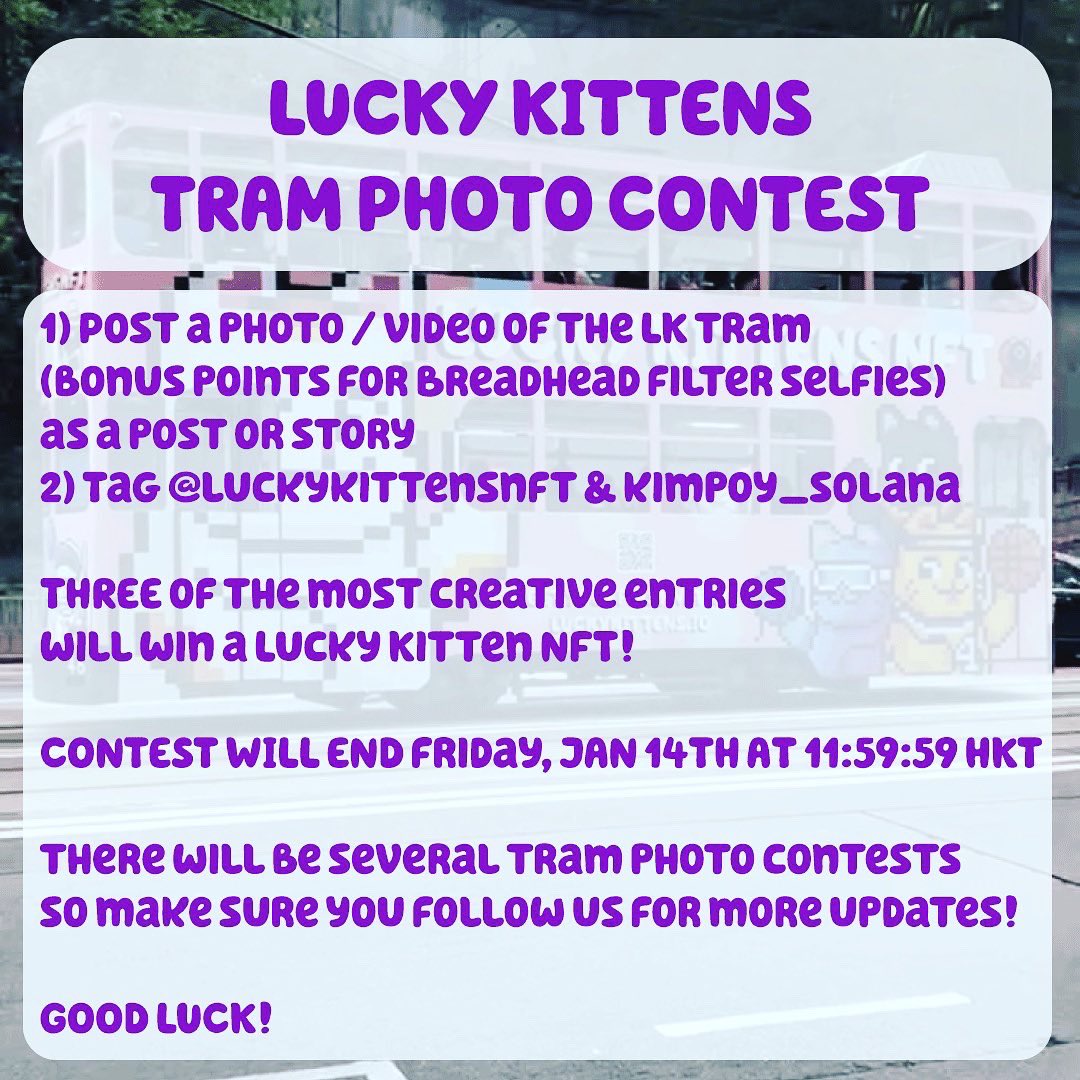 Lucky Kittens | Launch Kollective tweet media