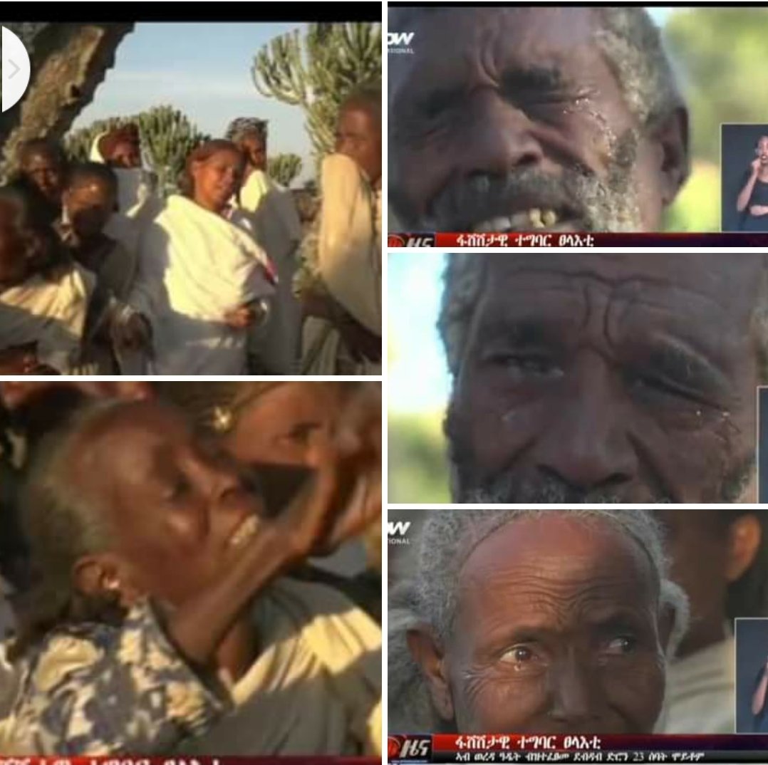 GenetTensae's tweet photo. ፍትሒ ንህዝቢ ትግራይ ፍትሒ ኣደታት ትግራይ #StopTigrayFamine 
#StopTigrayGenocide @ChrisCoons @MikeCrapo @PattyMurray @RoyBlunt @SenateForeign @SenSanders @SenStabenow @SenWarren @SFRCdems @SenJohnMcCain @amnesty @amnestyusa @hrw @POTUS  @EU_Commission @EU_UNGeneva @AP @UN https://t.co/5R4DunAtxM
