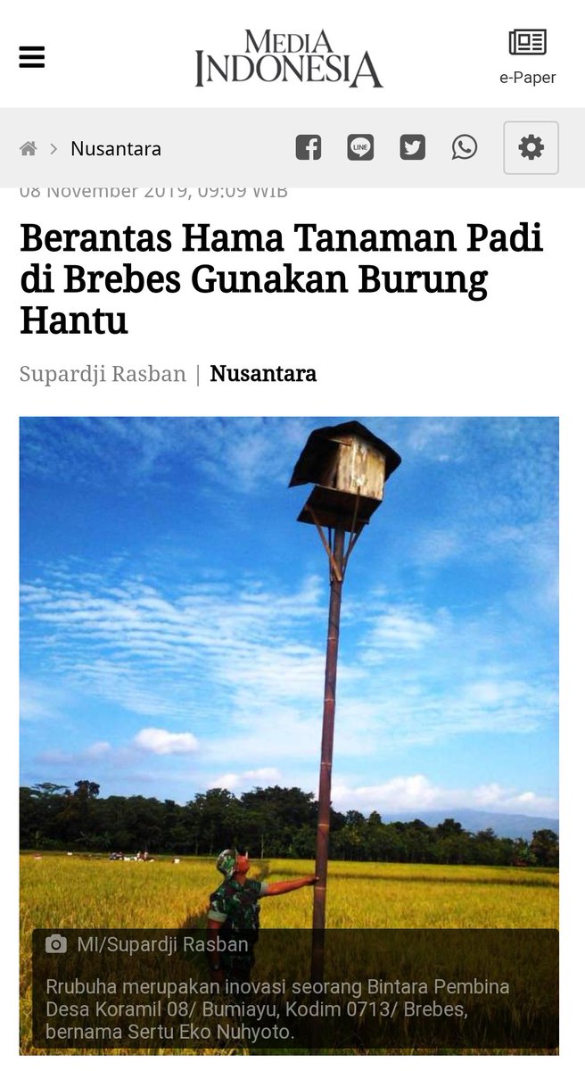 Alex31829681's tweet photo. @kompascom Hhmmm....kenapa kompas pilih cara yg ribet ya?? Kenapa tdk pake cara yg mudah ya, biosida...menjaga ekosistem menjaga keseimbangan kehidupan.. https://t.co/TZbuFykvNO