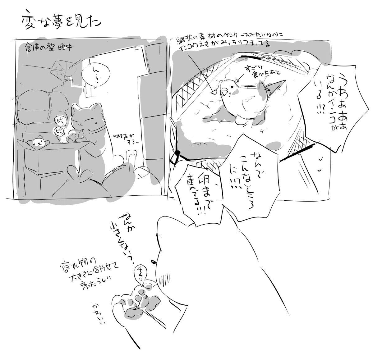 物置の餌入れの中でインコが孵化していた夢を見た 