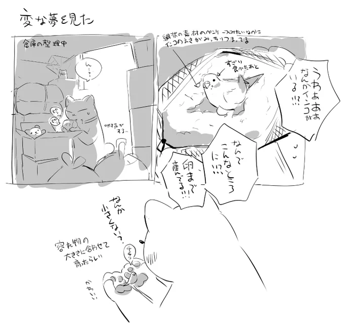 物置の餌入れの中でインコが孵化していた夢を見た 