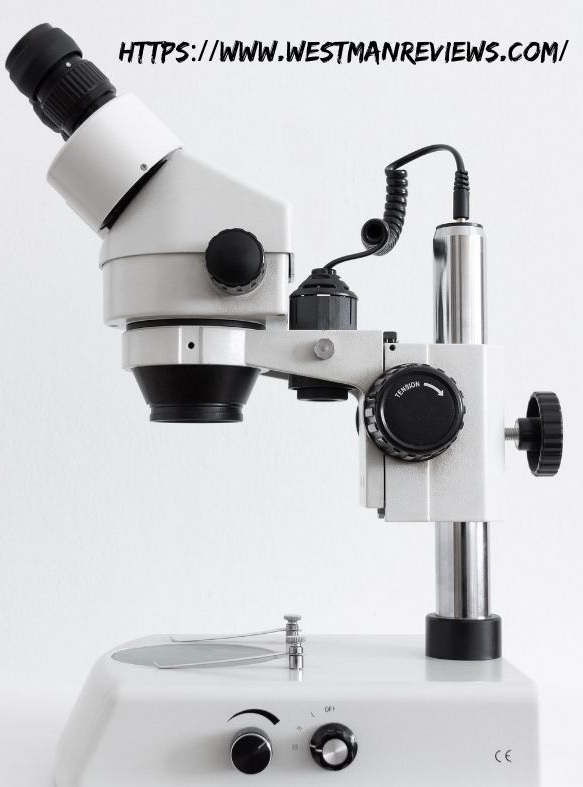 WestmanReviews's tweet photo. Microscopes are such fun and useful tools!  Check out my latest blog post to see some of the fun and useful ways they can be used.  https://t.co/WYGn5gtFG7  #microscopes #useful #fun https://t.co/PVUB0cpqJL