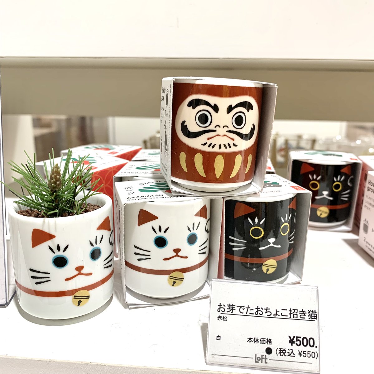 oO新年は何か新しいことはじめたい… そんな方にオススメなのが、#栽培