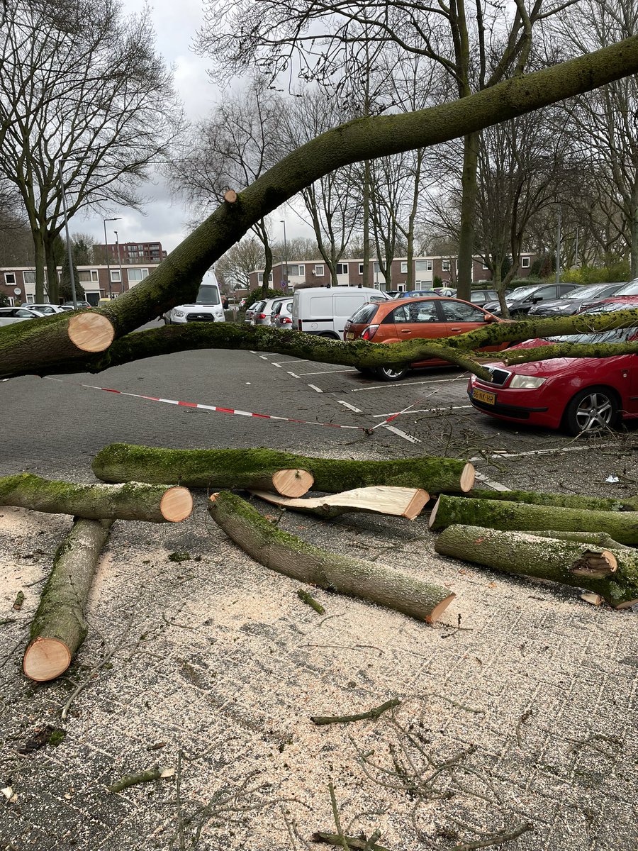 Ad Berger tweet media