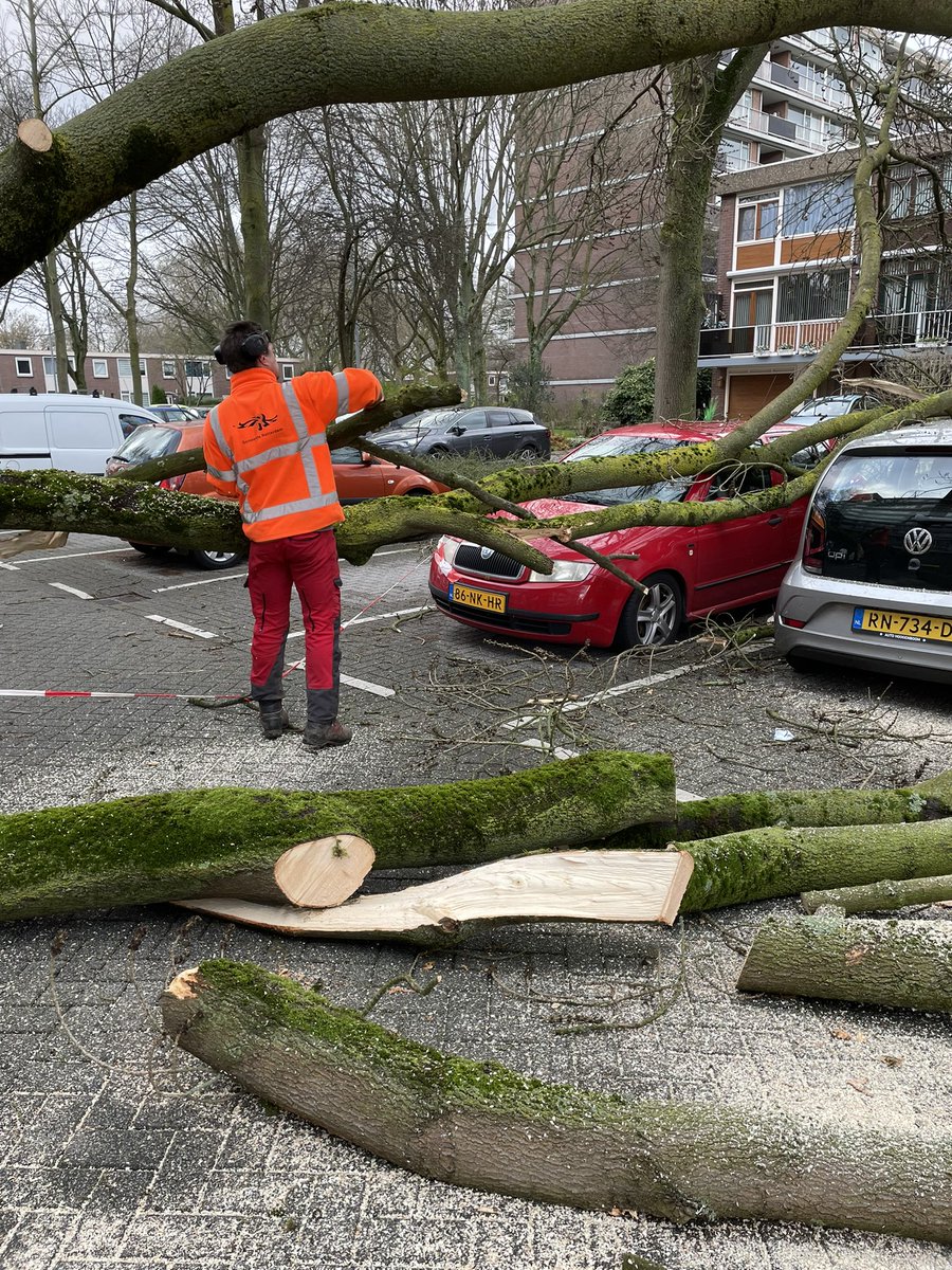 Ad Berger tweet media