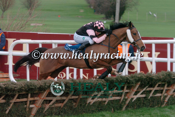 WJHJT's tweet photo. From the Archive #17yearsago ESSEX @BarryJGeraghty win the Pierse Hurdle for owners B P S Syndicate and trainer Michael O'Brien @LeopardstownRC https://t.co/WVGit3x911 https://t.co/Ve5e09nwOz