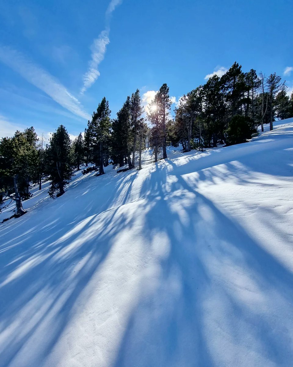 ricardrigall's tweet photo. El Planell Gran. #planellgran #estanysdelapera #arànser #aransa #llesdecerdanya #cerdanya #hiking #hivern2022 https://t.co/xGHf59gIXf