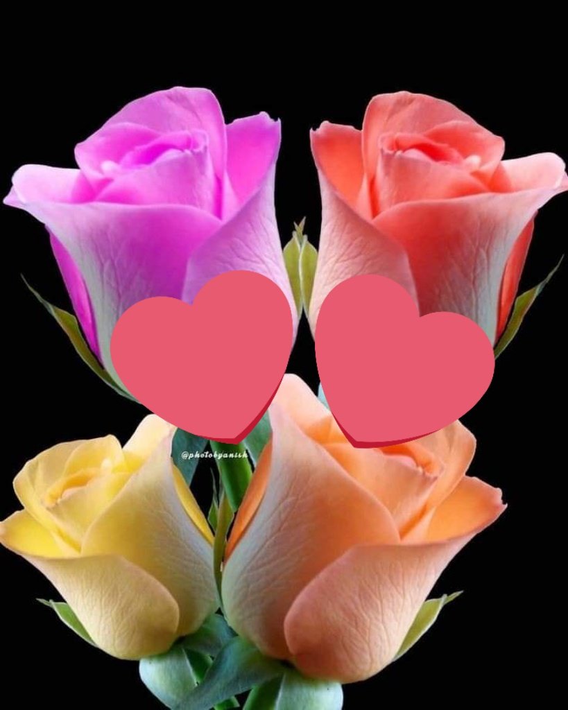 Thothot69's tweet photo. For you baby! https://t.co/TO4EfO4LGx