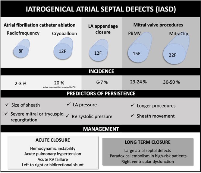 📌Transseptal puncture: Review of anatomy, techniques, complications &amp; challenges
#CardioEd #CardioTwitter #RadialFirst