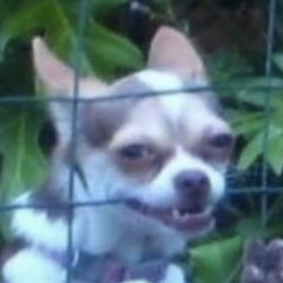 atiixx_cs's tweet image. #NeuesProfilbild