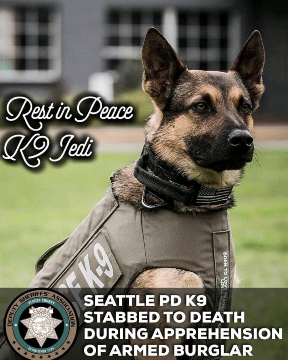 He gave his life too. RIP Jedi.