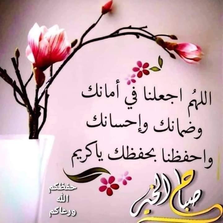 om_ali1970's tweet photo. @A_hmad_Ah https://t.co/g9Rs3ZTEN4