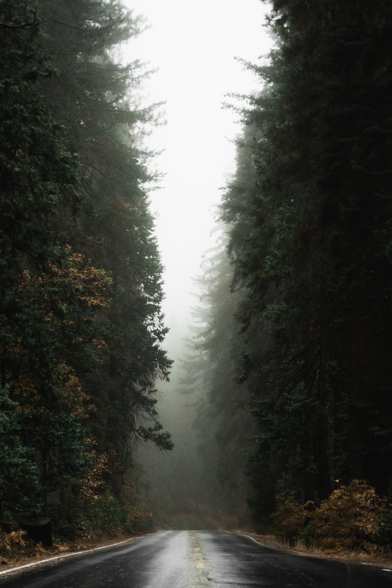 acostavisuals's tweet photo. @BrimhallAaron Just minted my newest collection "Faded Fog"
https://t.co/El7d9RcdDW https://t.co/7KU5YCqc0z