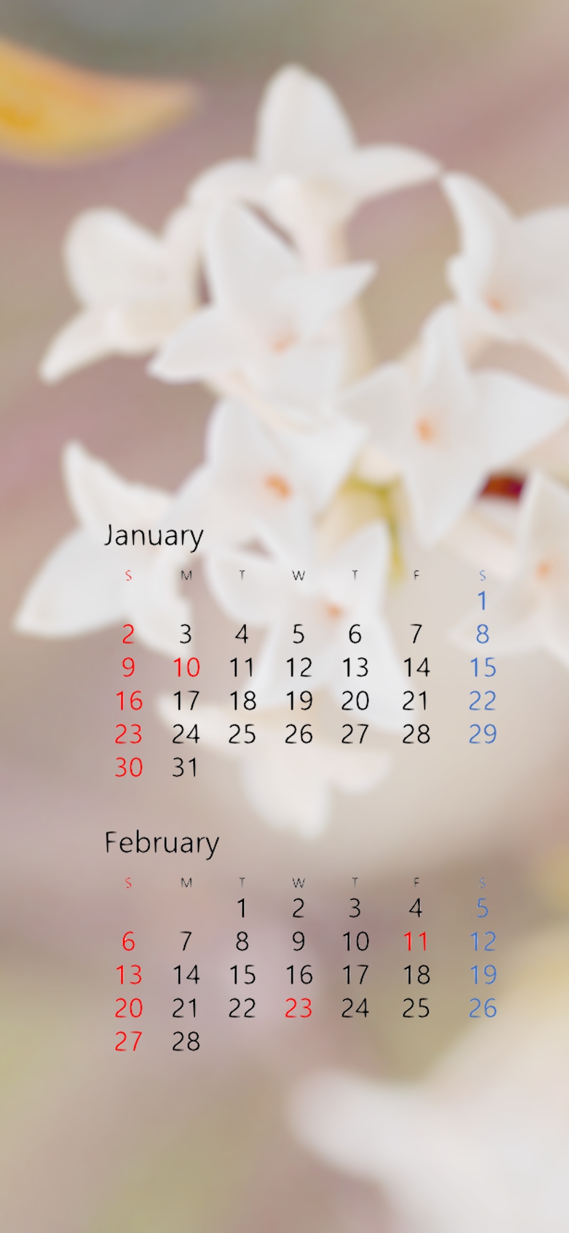 とまとまと ロック画面をカレンダー壁紙にしていますが 去年は1月のまま1年がたってしまいました ずぼらな自分用に2か月ごとの カレンダー壁紙を作成しました 今回は1月2月のカレンダーです 背景は沈丁花 スマホの画面からいい香りがする とまとまと ロック画面をカレンダー壁紙にしていますが 去年は1月のまま1年がたってしまいました ずぼらな自分用に2か月ごとの カレンダー壁紙を作成しました 今回は1月2月のカレンダーです 背景は沈丁花 スマホの画面からいい香りがする